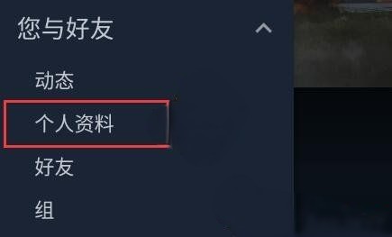 steam怎么改名字颜色