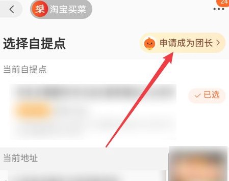 淘宝买菜申请团长是什么意思