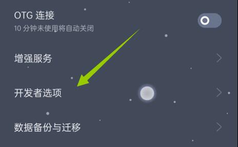 coloros12开发者选项位置