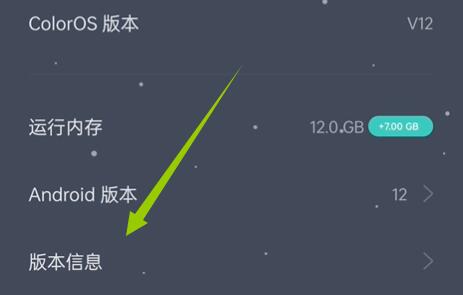 coloros12开发者选项位置