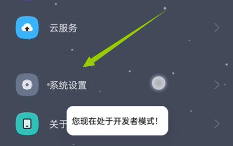 coloros12开发者选项位置