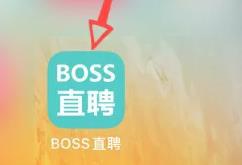 boss直聘怎么联系在线客服