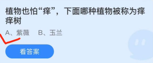 蚂蚁庄园：植物也怕痒下面哪种植物被称为痒痒树(植物也怕痒下列哪种植物被称为痒痒树)