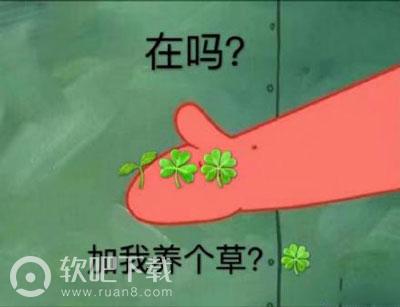 养草是什么意思