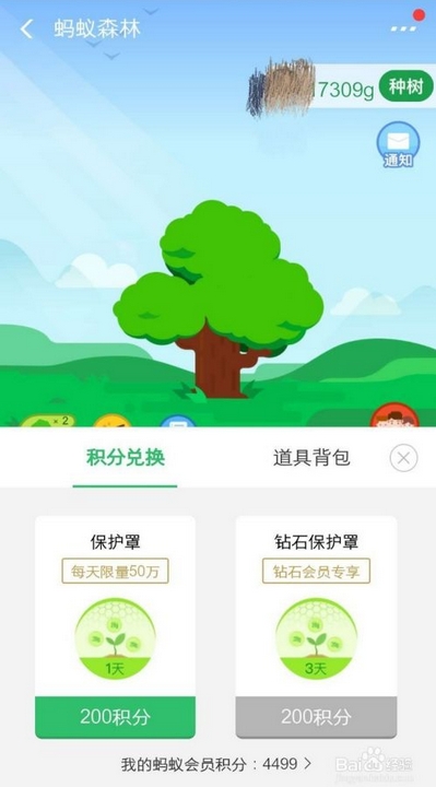 蚂蚁森林有什么用?能换钱吗