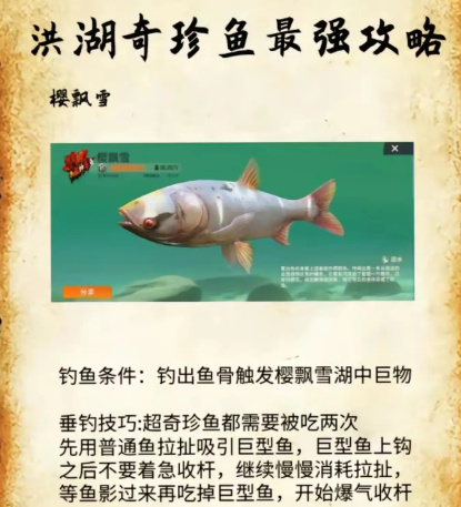 欢乐钓鱼大师稀有鱼