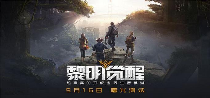 黎明觉醒公路旁